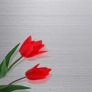 comprar No.3/los HL acaban el material inoxidable en frío del grado de la prima de la hoja de acero Fabricación en línea